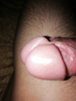 Cazzo Parte 13