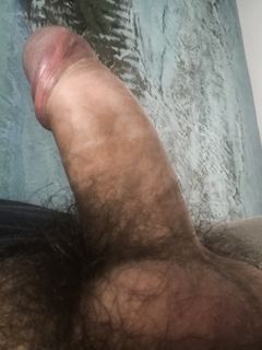 Ercolino sempre in piedi