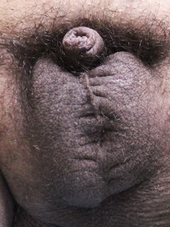 Giorni di quarantena