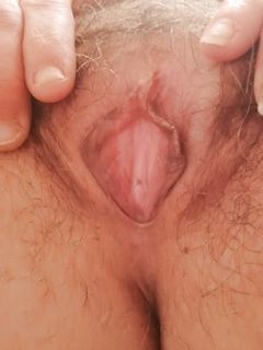 Chiusa o aperta... Aspetta solo lingue cazzi