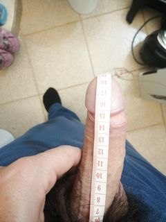 L' onestà  prima di tutto