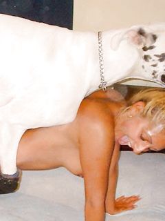 Al mio maiale piace la coda