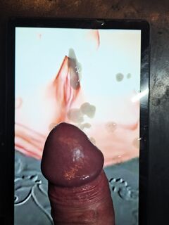 geppetto102000 cplazio