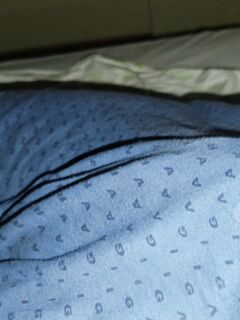 Il buongiorno si vede dal mattino ????