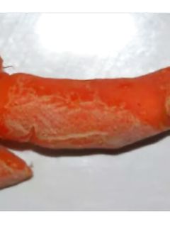 presentazione Parte 6