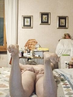 Il Padrone viene sottomesso