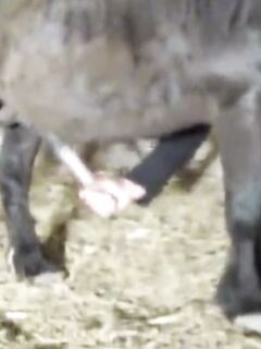 ANTONELLA E LE SUE FANTASIE