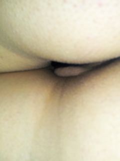 la porca della sposina